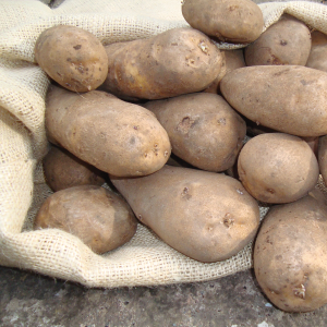 Golden Wonder 30kg